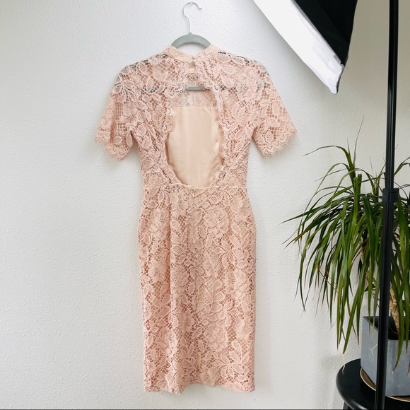 ALEXIS midi dress laced floral pink sheath bodycon nude formal wedding prom boho - Picture 7 of 14